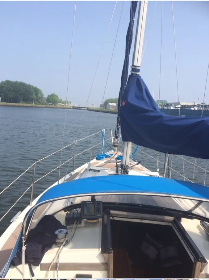 Polyester Sailboat Bavaria 890