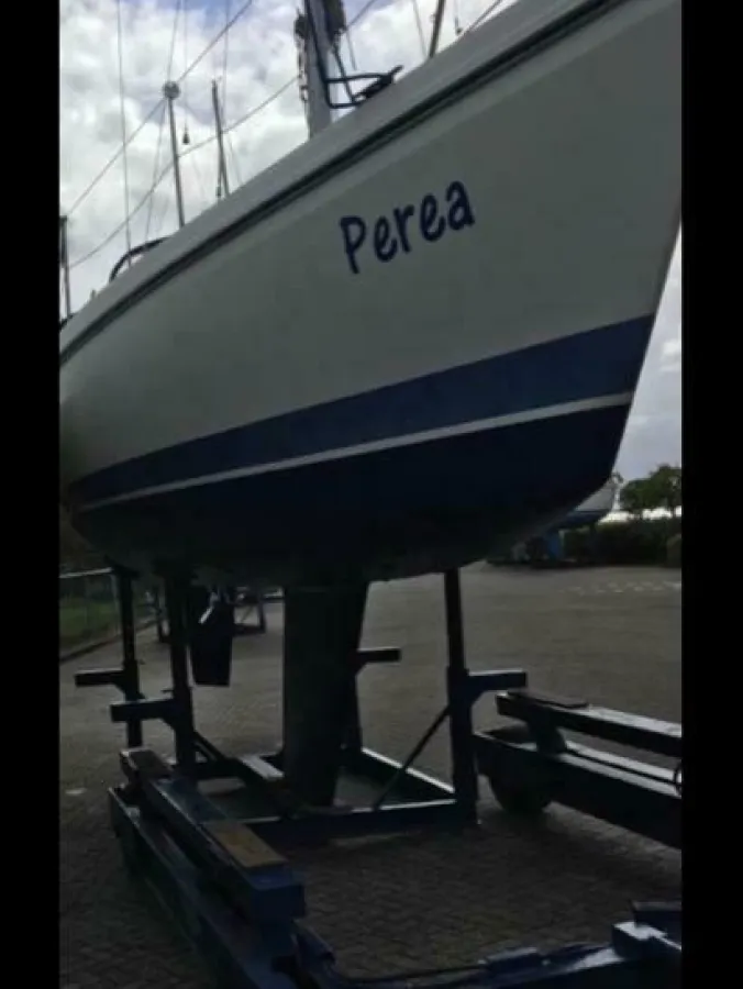 Polyester Sailboat Bavaria 890