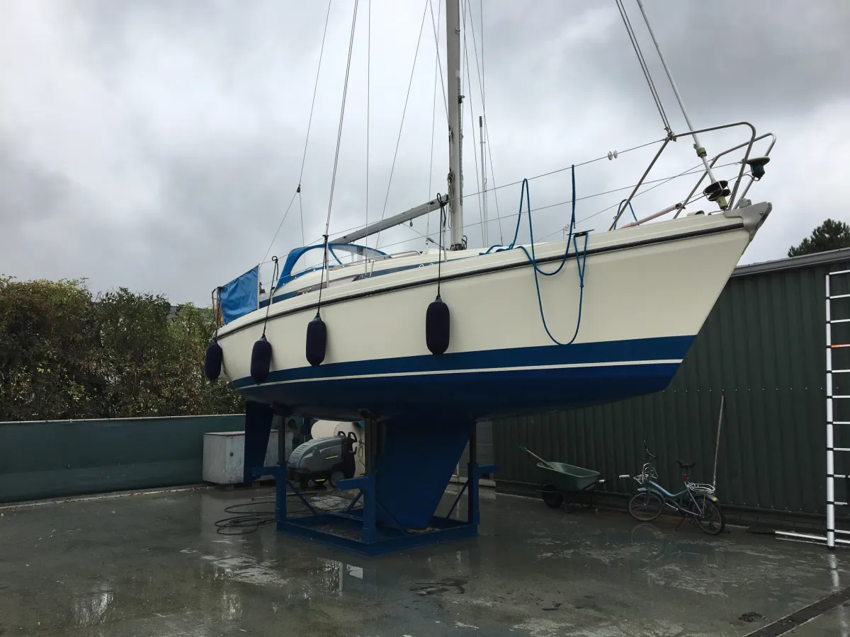 Polyester Sailboat Bavaria 890