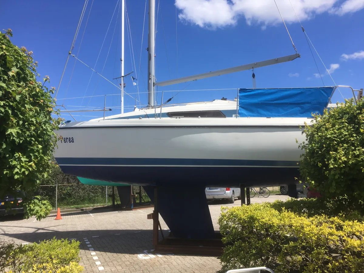 Polyester Sailboat Bavaria 890