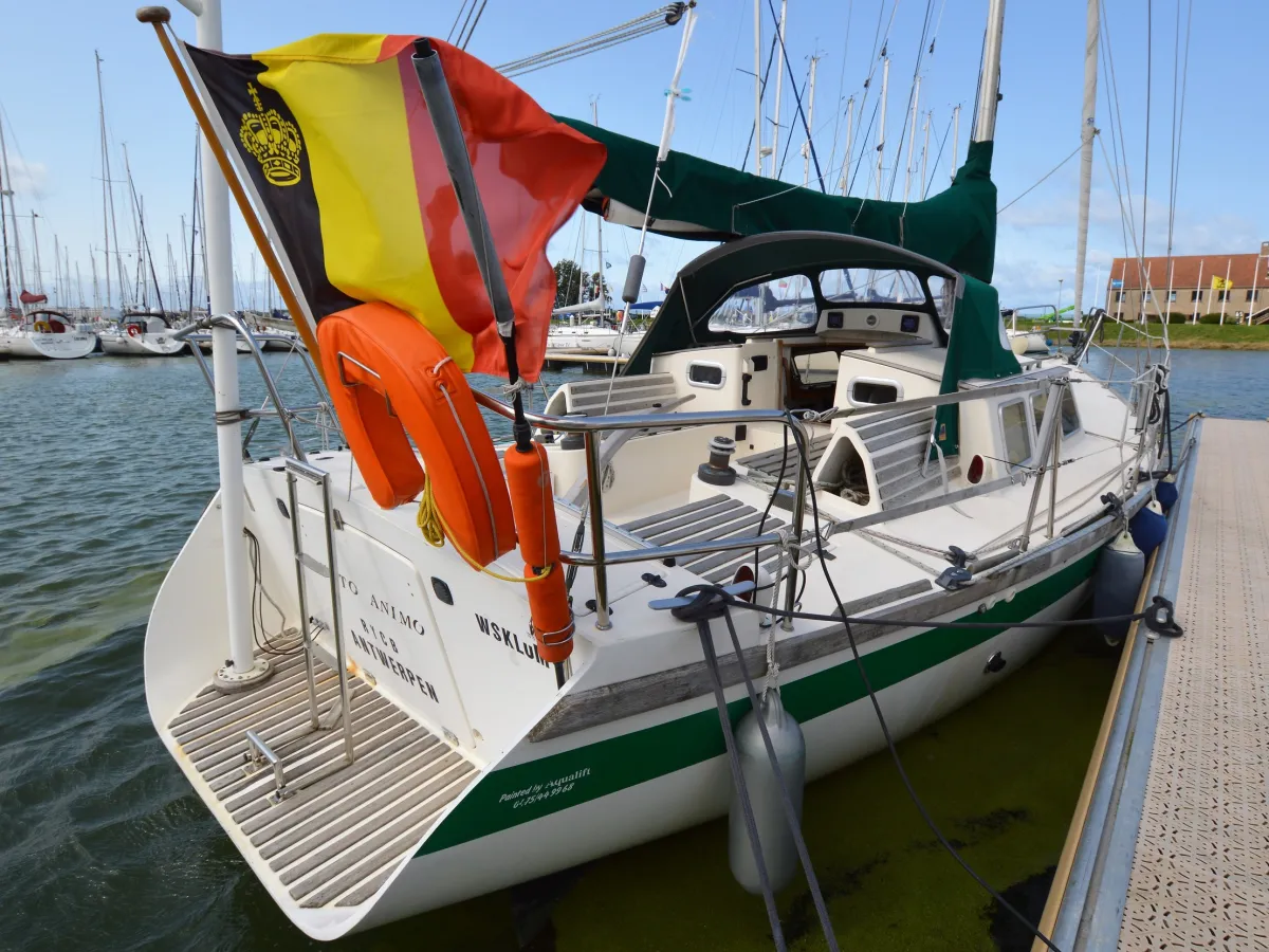 Polyester Sailboat Haliotis 38