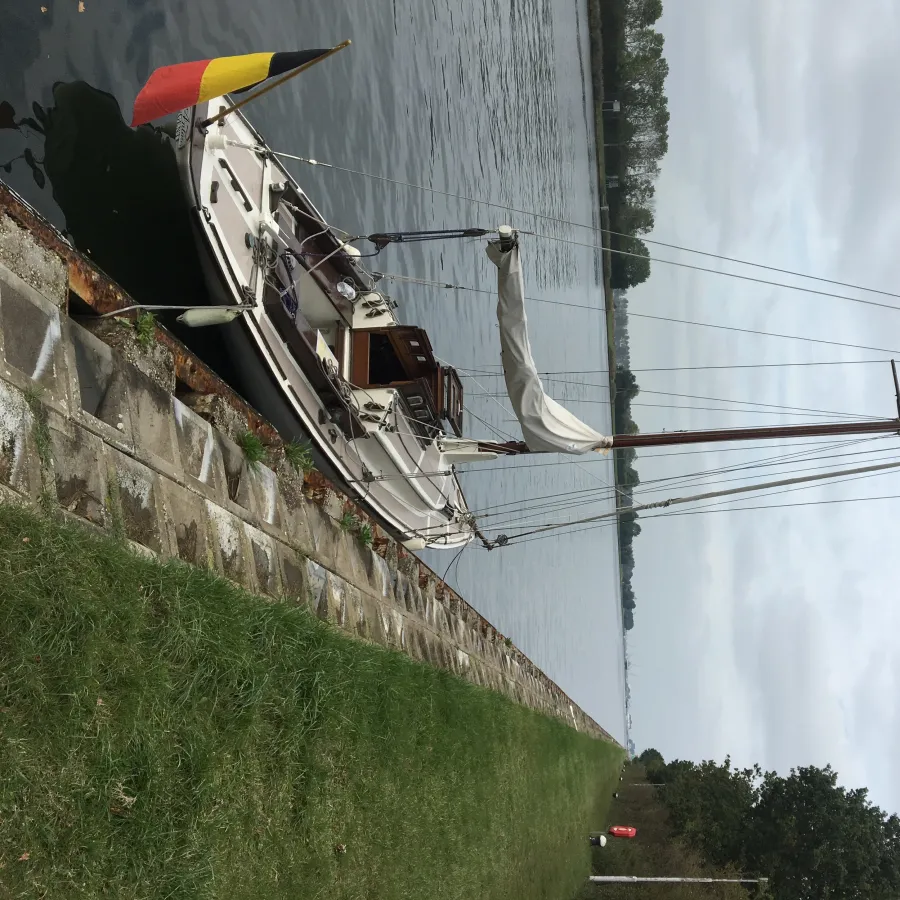 Hout Zeilboot Zeilboot Klassiek Scherp