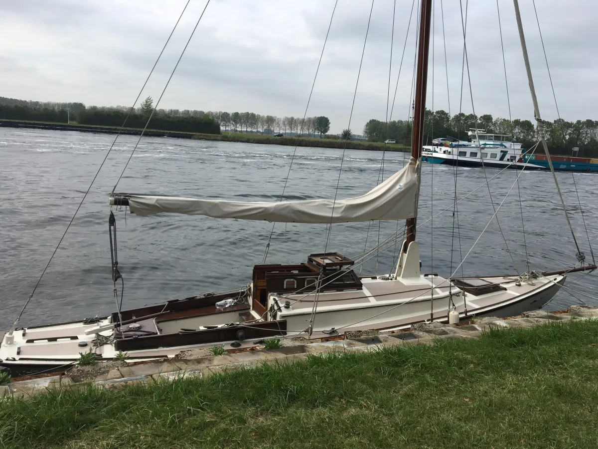 Hout Zeilboot Zeilboot Klassiek Scherp