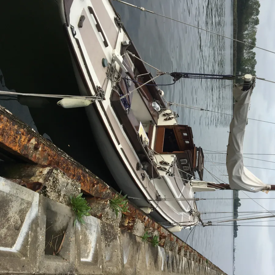 Hout Zeilboot Zeilboot Klassiek Scherp