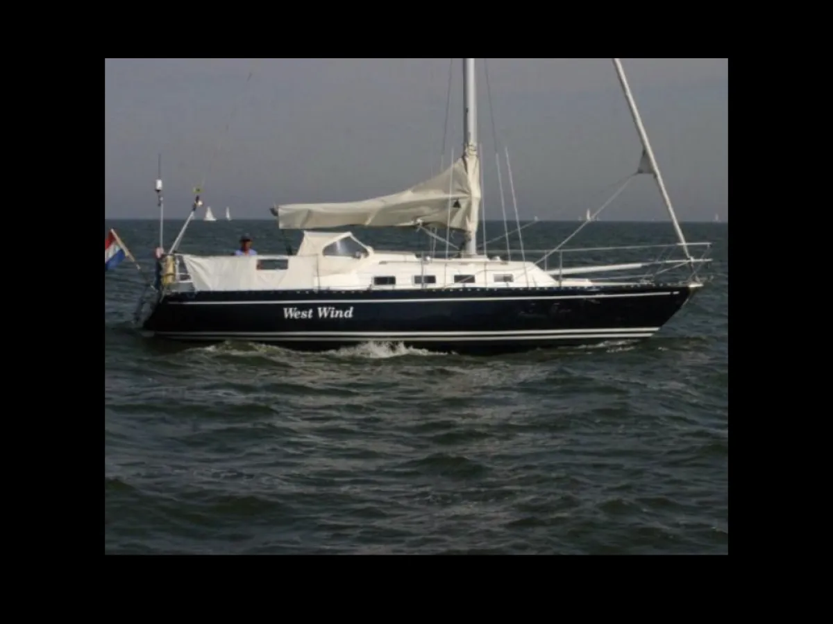 Polyester Sailboat Ventura Champ 30