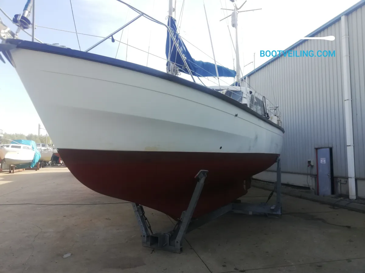 Polyester Sailboat Colvic 31