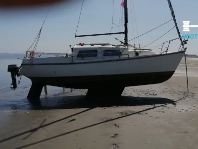 Polyester Sailboat Leisure 23 Photo 5