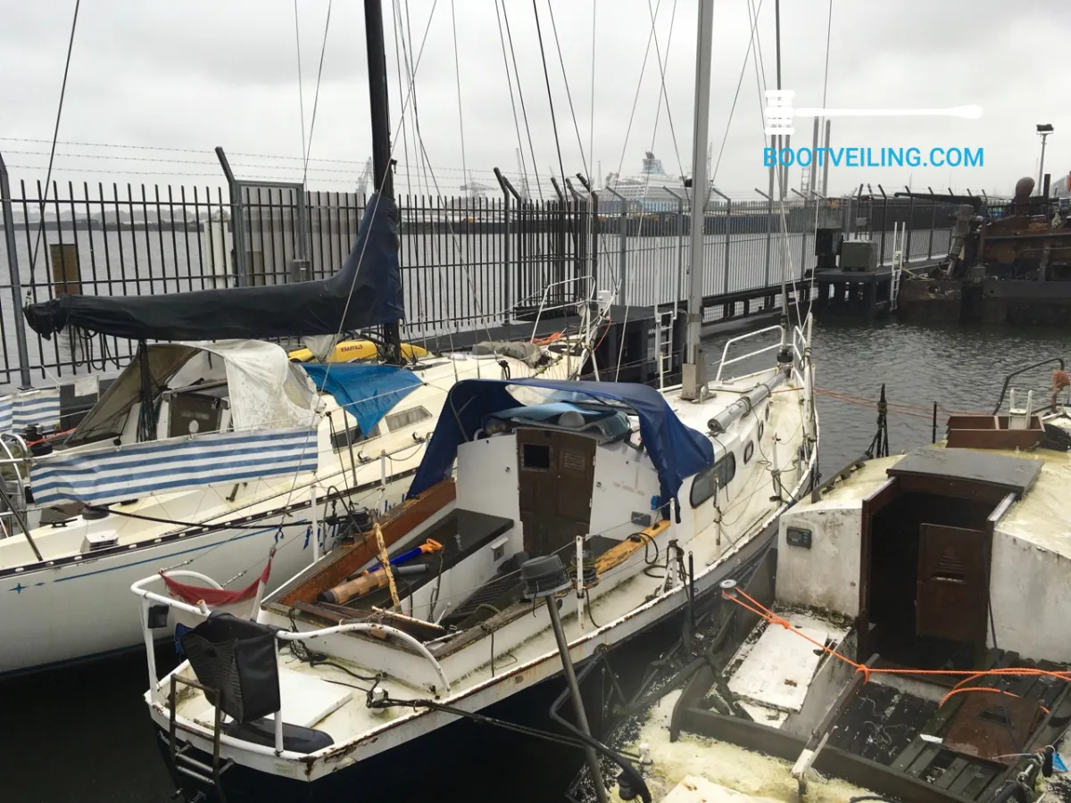 Steel Sailboat Grachtenboot Kajuitzeilboot