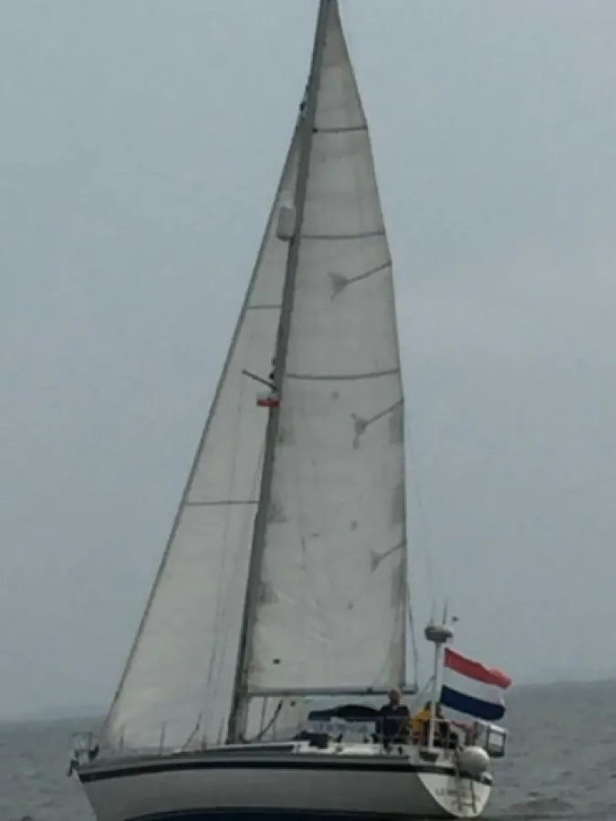 Polyester Sailboat Friendship 35