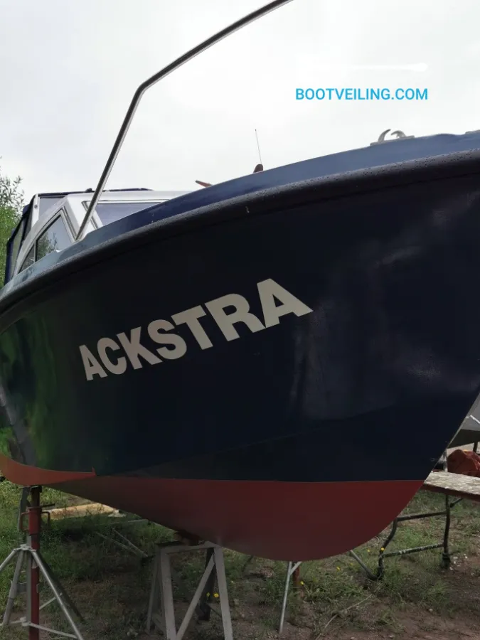 Polyester Motorboat Alpha Polaris 25