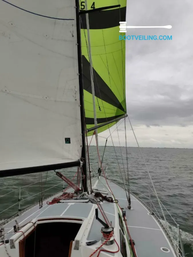 Polyester Sailboat Taylor Cirrus 34