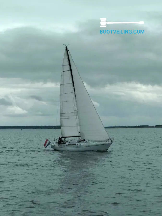 Polyester Sailboat Taylor Cirrus 34