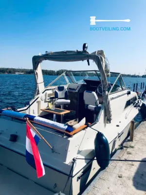 Polyester Motorboat Carver Monterey 26 Photo 1