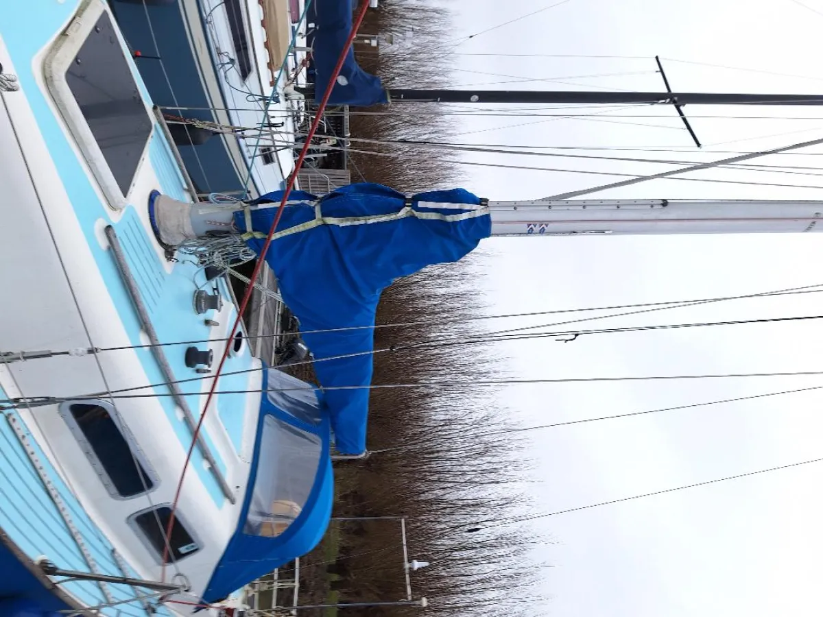 Polyester Sailboat Sparkman & Stephens She 32C