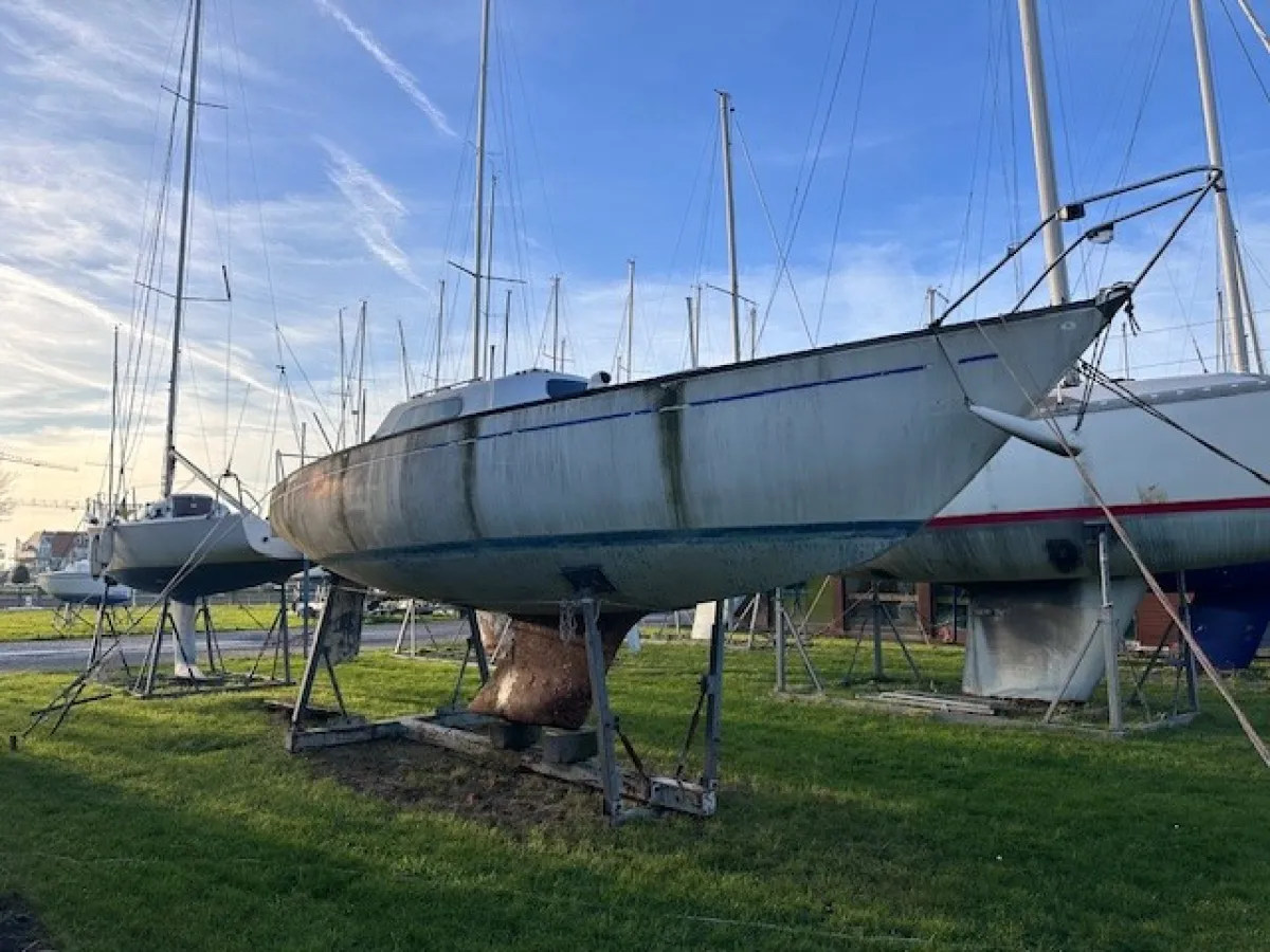 Polyester Sailboat Mallard Start 7