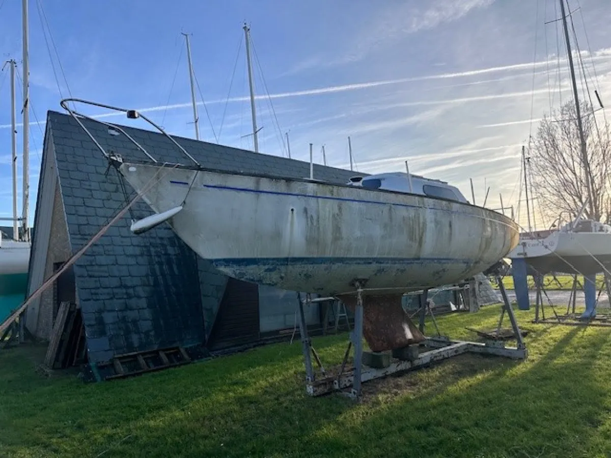 Polyester Segelboot Mallard Start 7