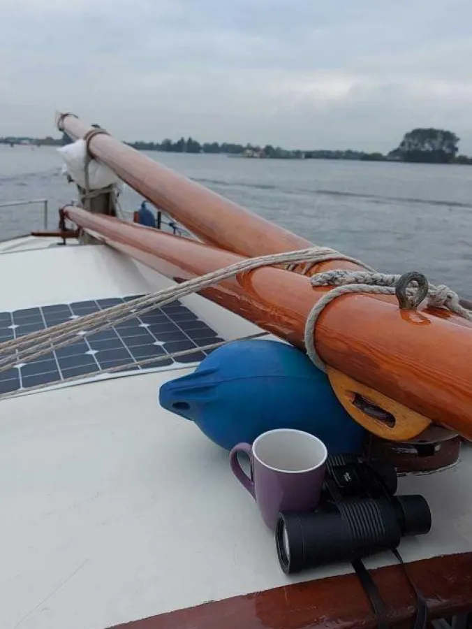 Bois Voilier Sloop à voiles 850