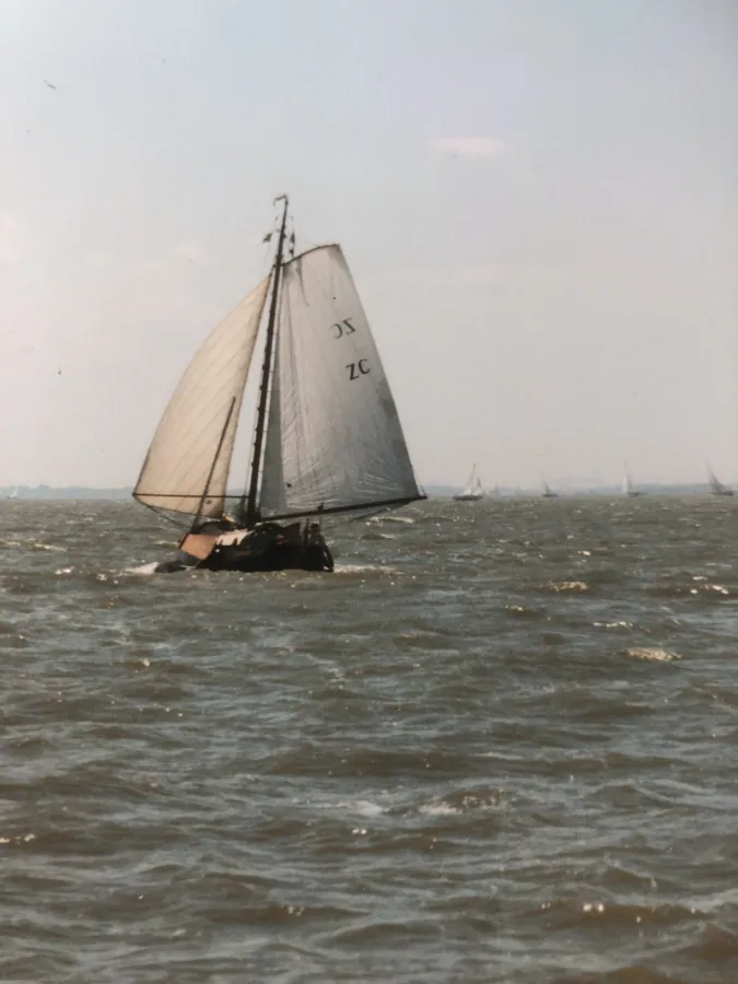 Staal Zeilboot Vermolen Zeeschouw