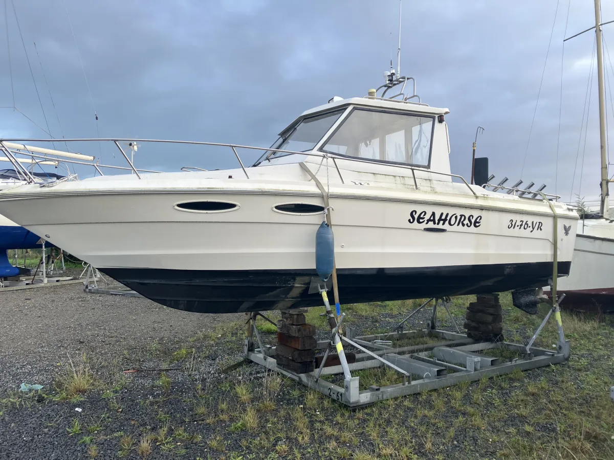 Polyester Motorboat Sea Ray 720