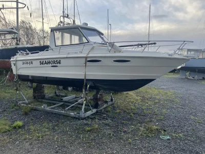 Polyester Motorboat Sea Ray 720 Photo 1