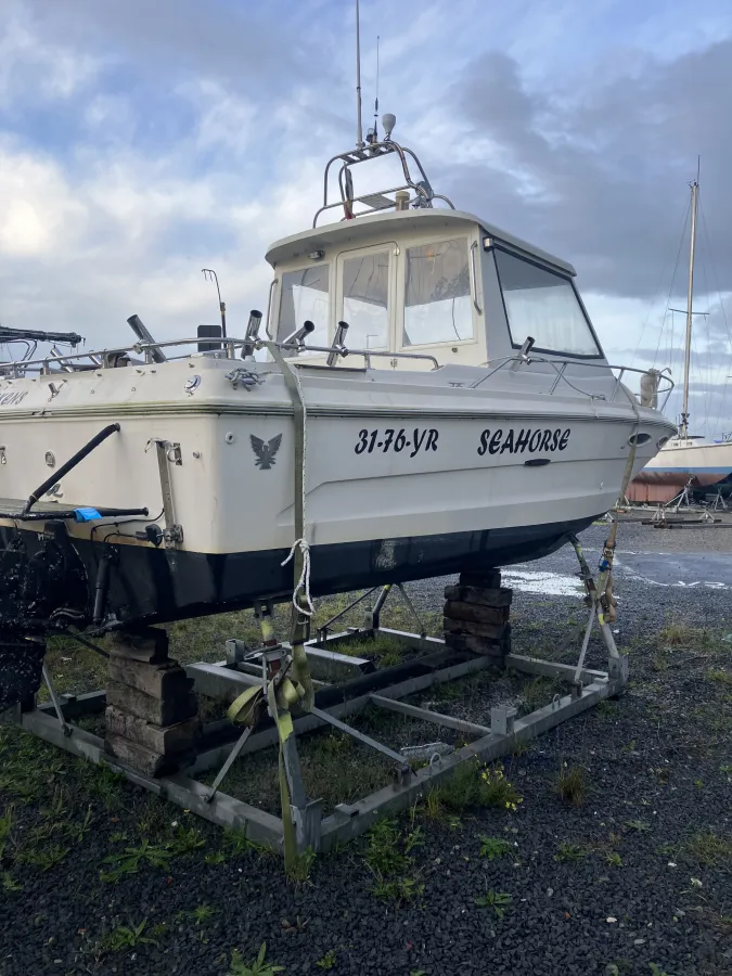 Polyester Motorboat Sea Ray 720