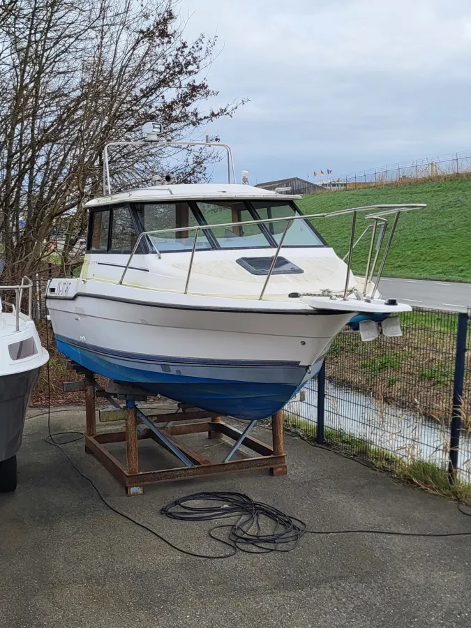 Polyester Motorboat Bayliner Trophy 2359