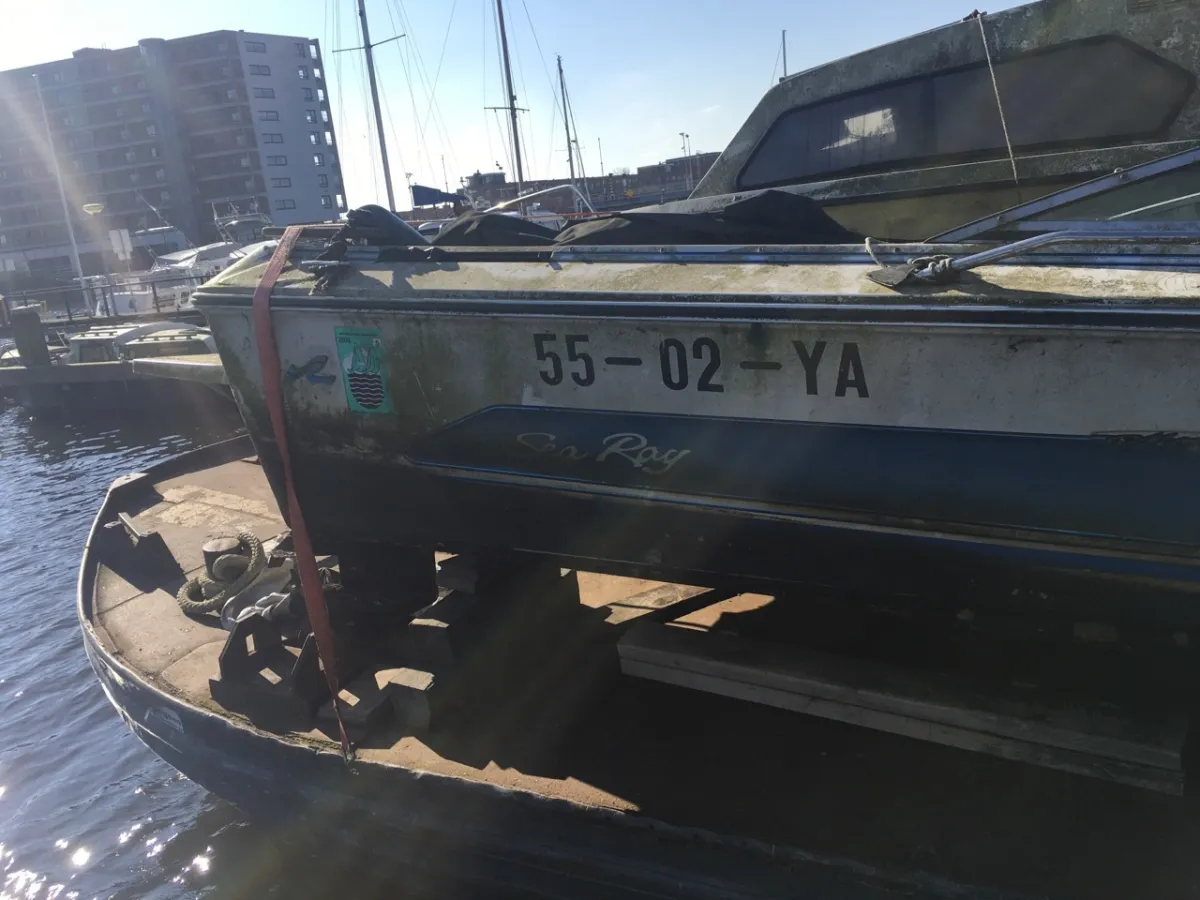 Polyester Budgetboat Sea Ray 600