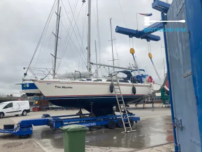 Polyester Sailboat Catalina 30 Photo 17