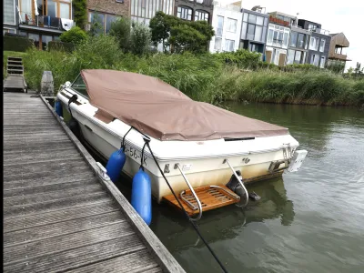 Polyester Speedboat Sea Ray 190 Photo 17