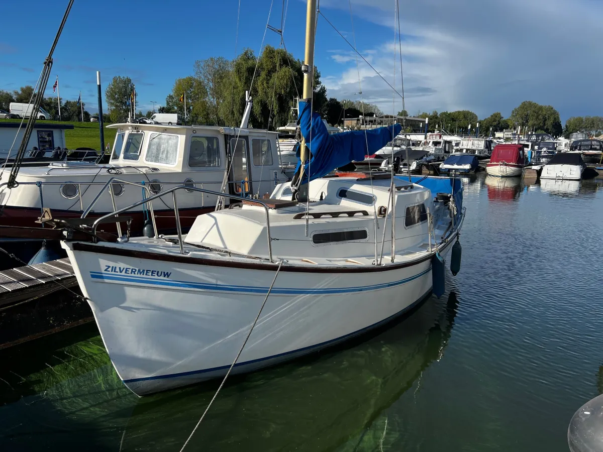 Polyester Sailboat Seamaster 800