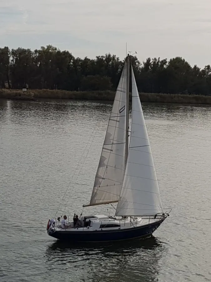 Polyester Sailboat Dufour Arpege