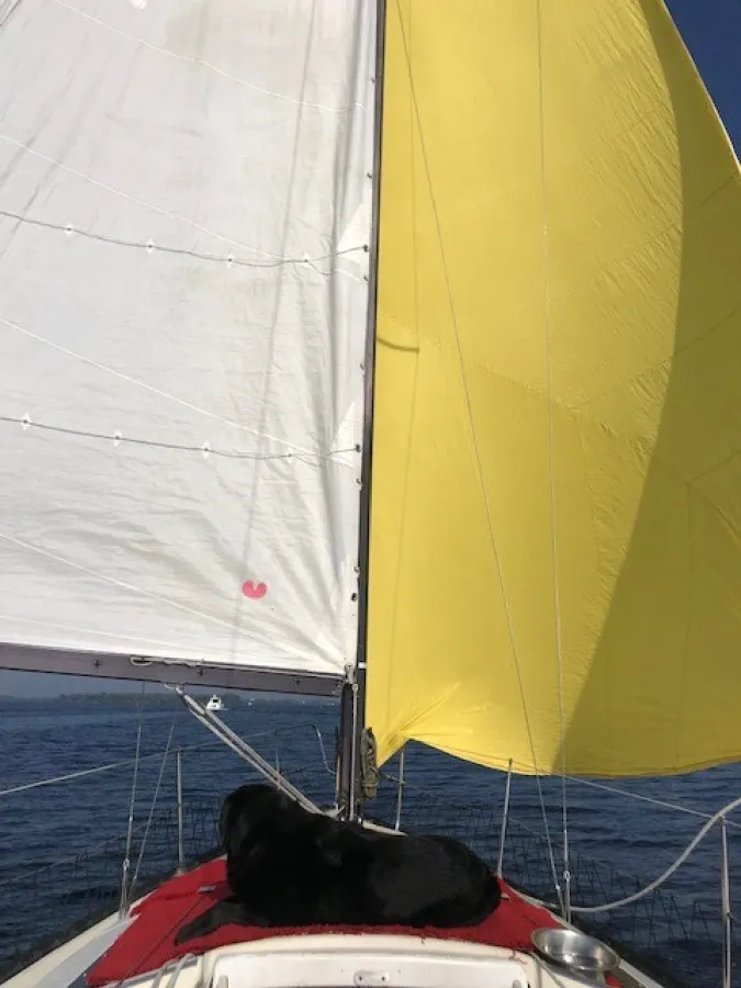 Polyester Sailboat Friendship 28