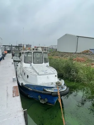 Steel Workboat Tugboat 9.20 Photo 14