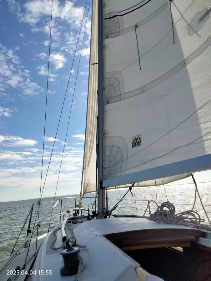 Polyester Sailboat Rebell 25