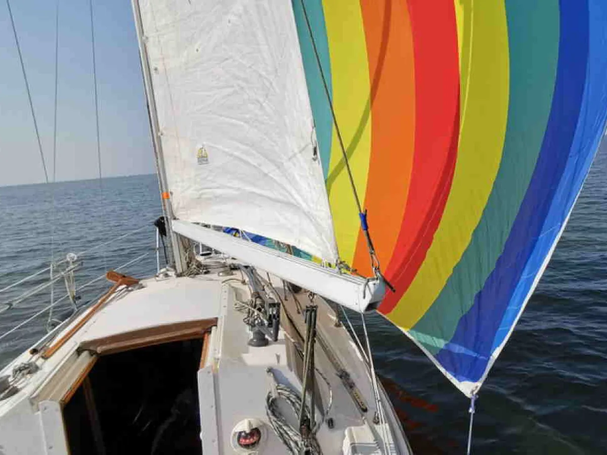 Polyester Sailboat Rebell 25