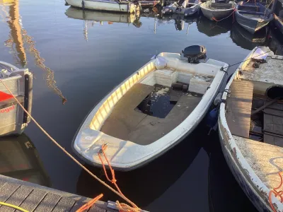 Polyester Budgetboat Open Boat 425 Photo 8