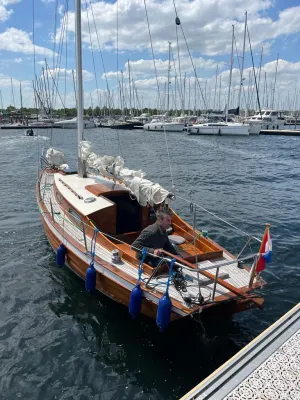 Wood Sailboat Stella 800 Photo 2