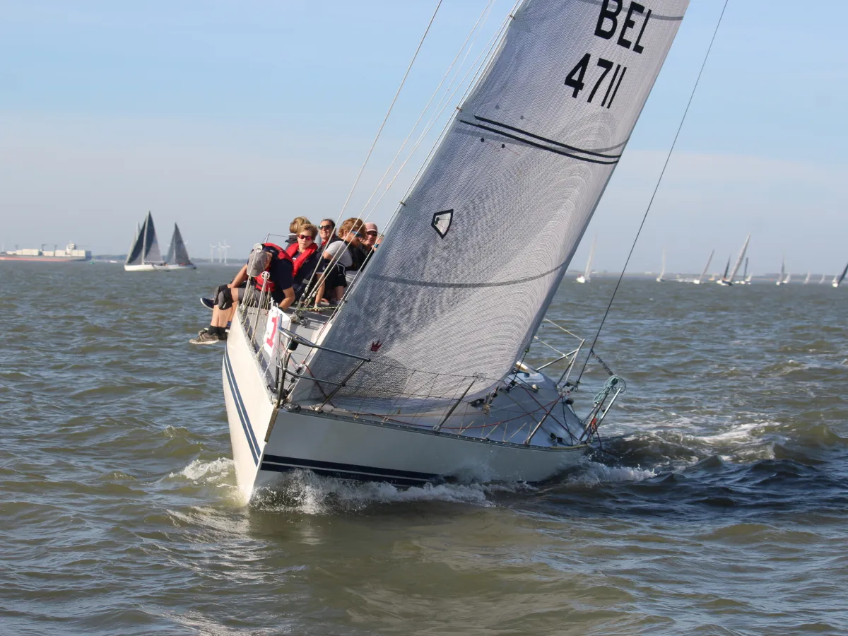 Polyester Sailboat Hustler SJ 36