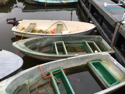 Rowing boat Grachtenboot