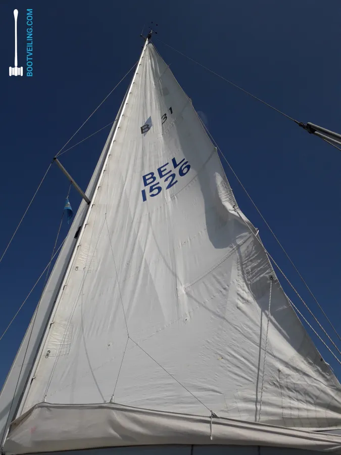 Polyester Segelboot Bavaria 312 Cruiser