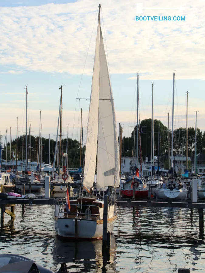 Steel Sailboat Regina 2