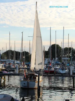 Steel Sailboat Regina 2 Photo 48