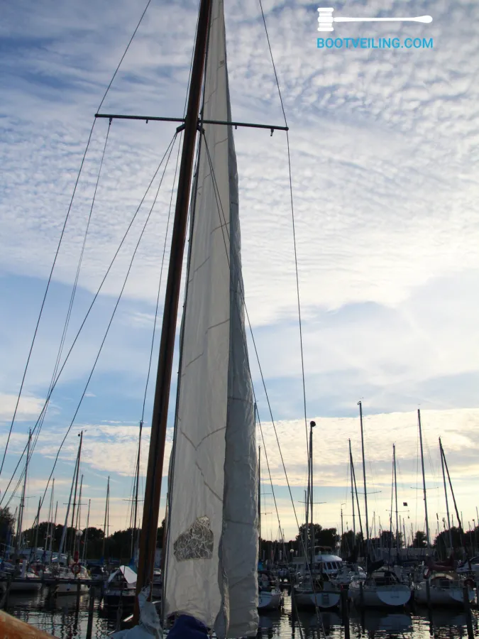 Steel Sailboat Regina 2