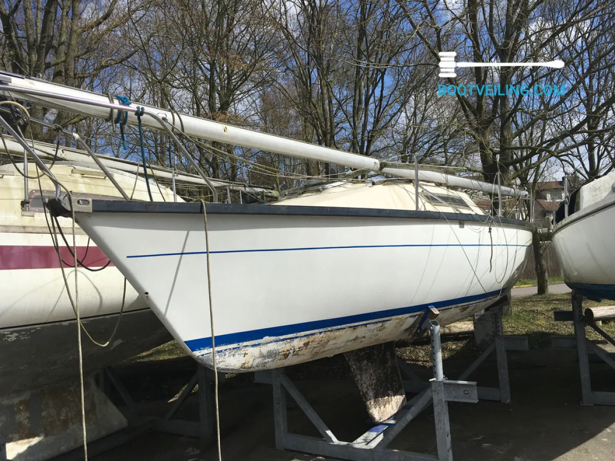 Polyester Open zeilboot Beneteau First 22