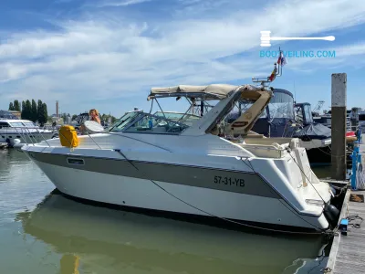 Polyester Motorboat Maxum 3200SCR Photo 1