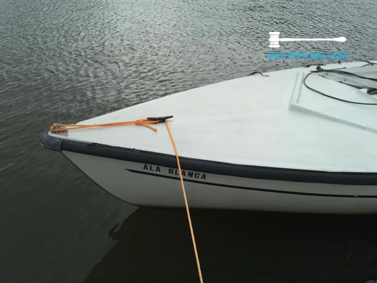 Polyester Budgetboat Open Boat Grachtenboot