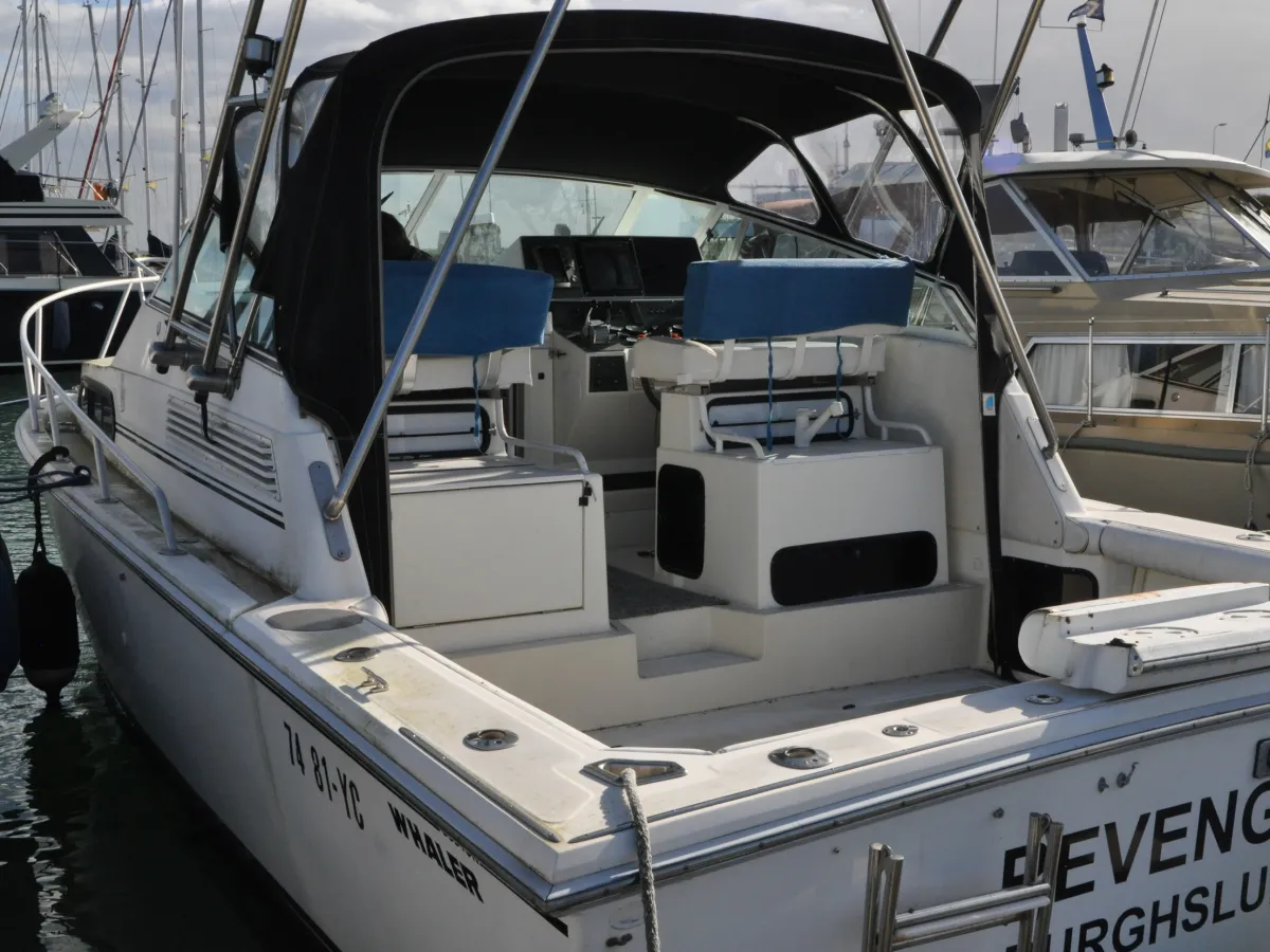 Polyester Motorboat Boston Whaler 31