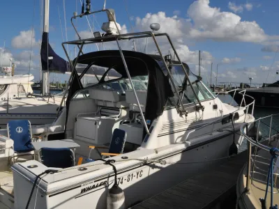 Polyester Motorboat Boston Whaler 31 Photo 1