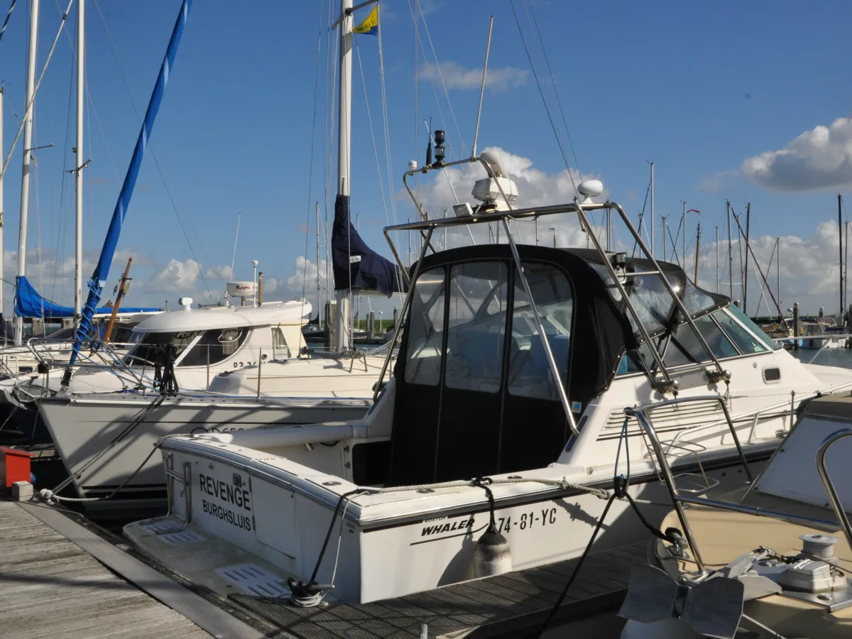 Polyester Motorboat Boston Whaler 31