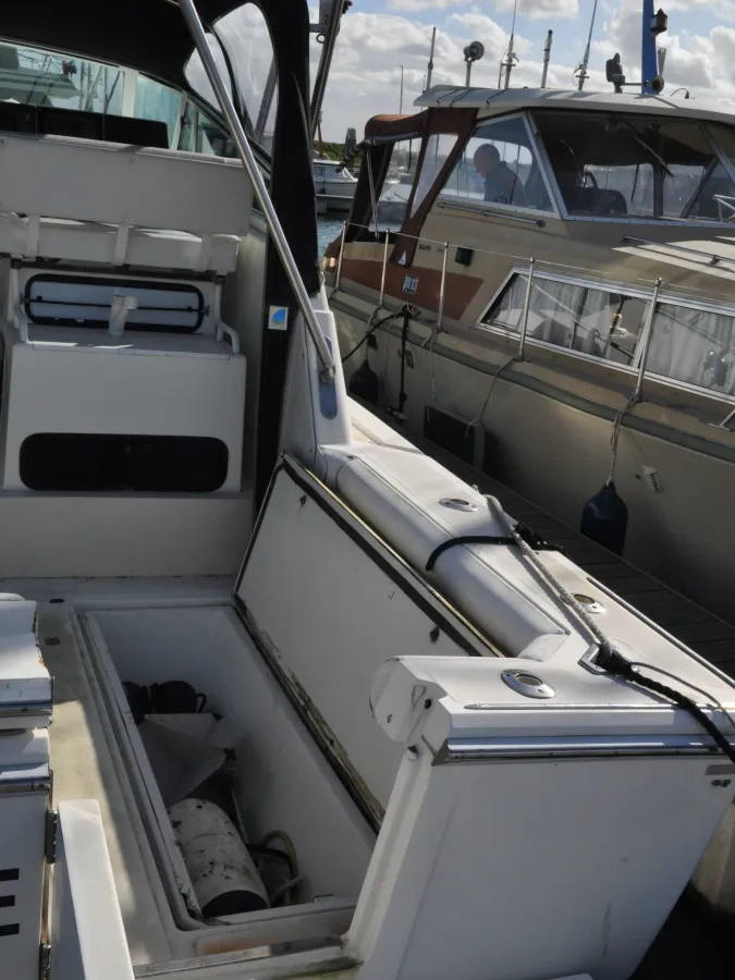 Polyester Motorboat Boston Whaler 31